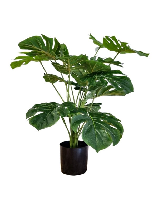 Monstera Plant 0.7m (Green) - Faux