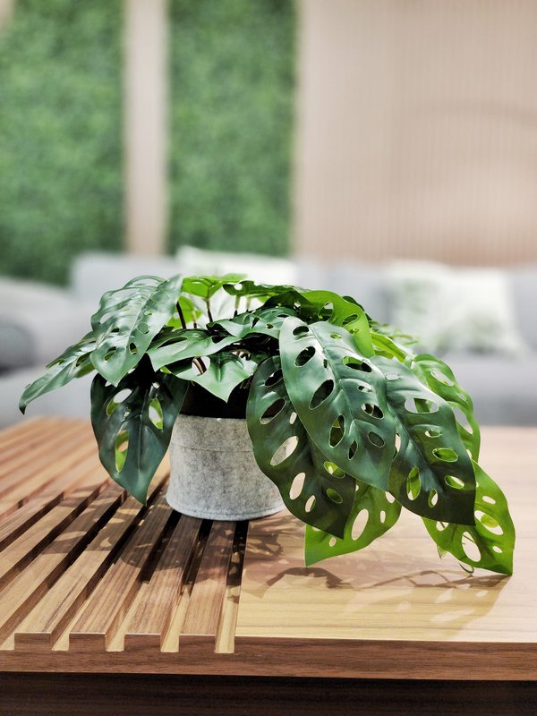 Hanging Leaves (Monstera Plant) - Faux