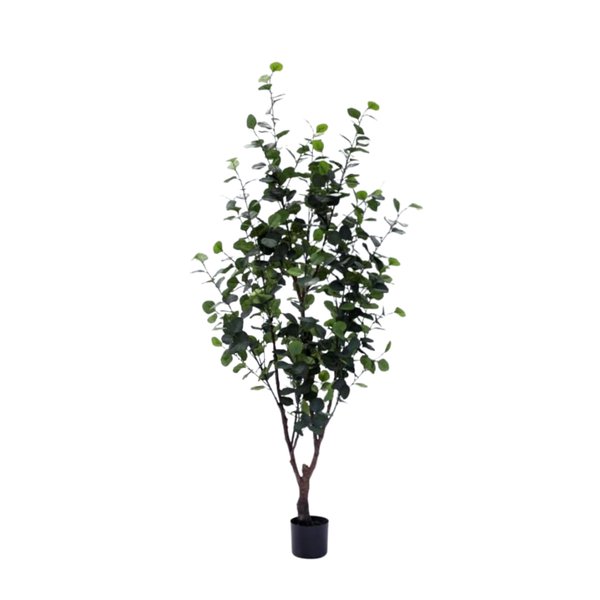 Eucalyptus Plant 1.8m - Faux