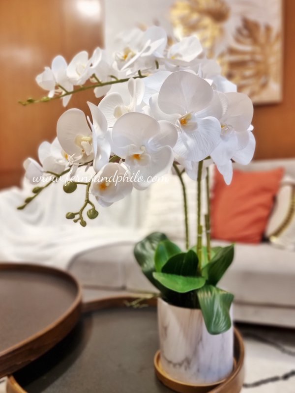 Orchid Plant (White) - Faux