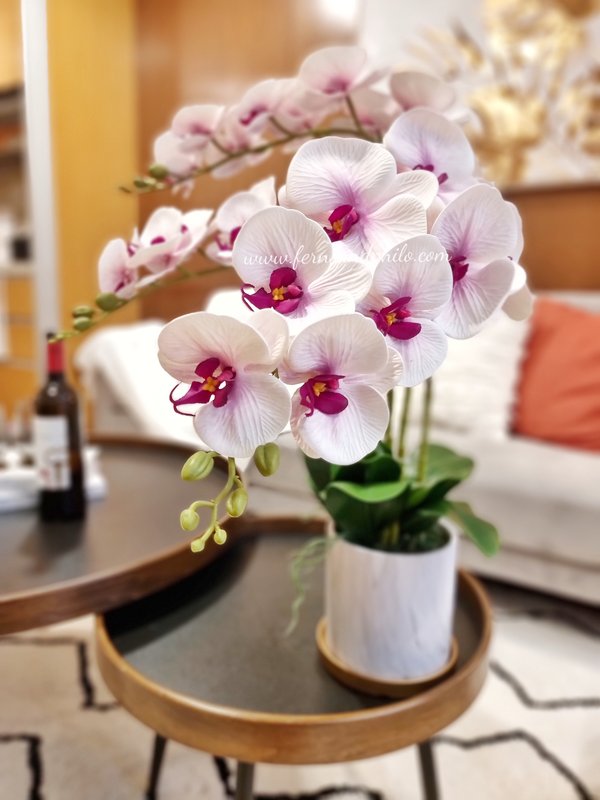 Orchid Plant (White / Purple) - Faux