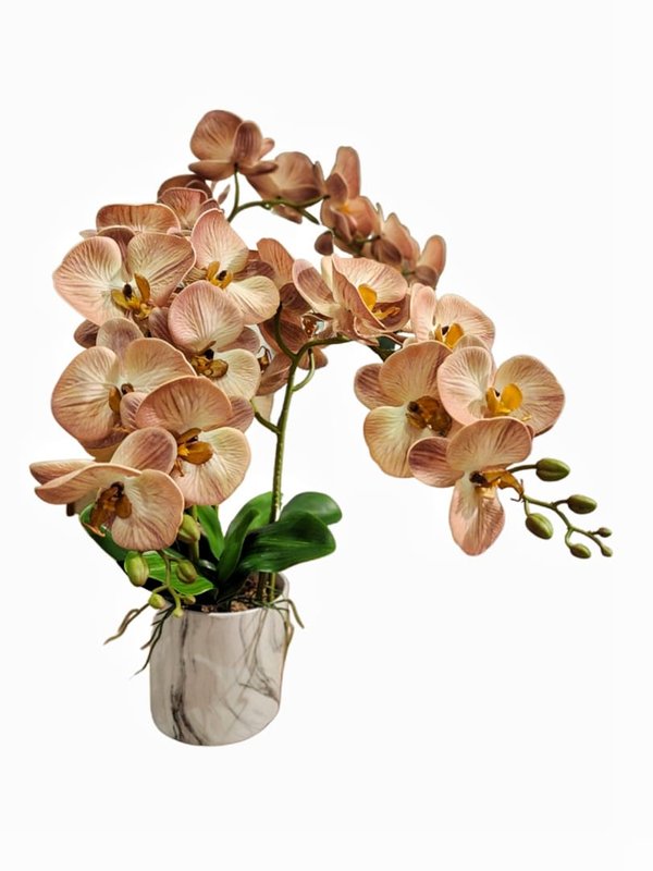 Orchid Plant (Milk Tea) - Faux