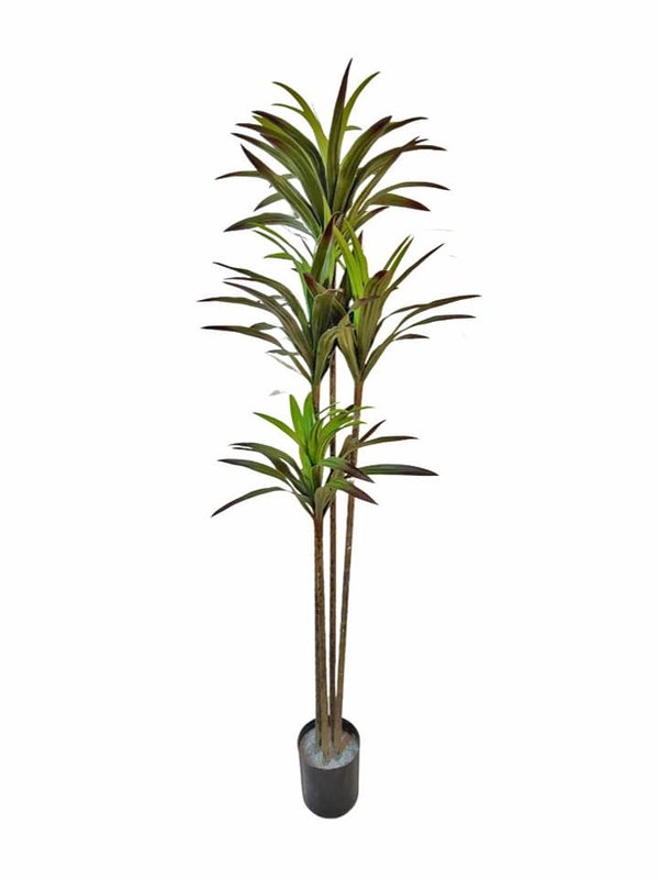 Yucca Tree 1.5m (Thin Branches) - Faux