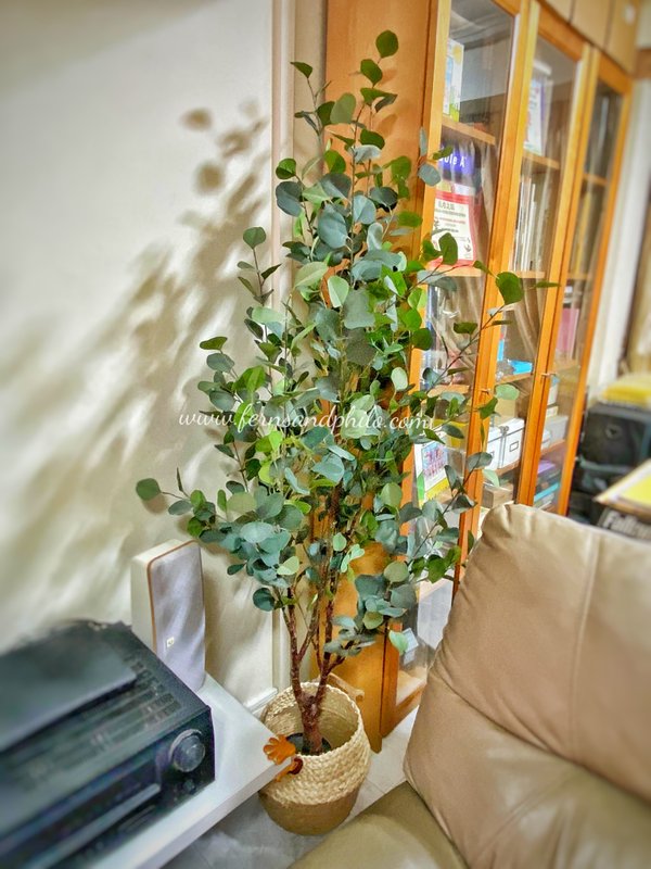 Eucalyptus Plant 1.8m - Faux