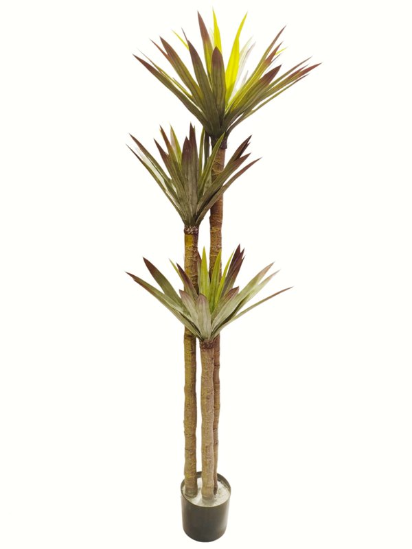 Yucca Tree 1.7m (Short Leaves) - Faux