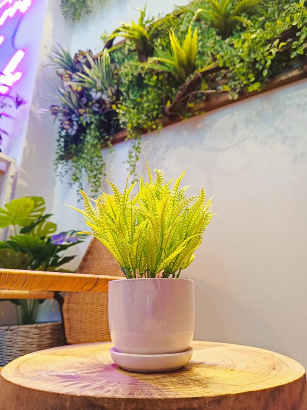 Sword Fern with White Pot - Table Size (Faux)