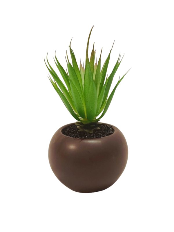 Sisal Plant (Brown Pot) - Table Size (Faux)