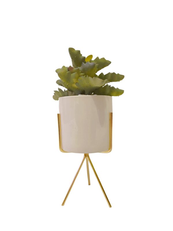 Felt Bush Plant With White Pot & Gold Stand - Table Size (Faux)