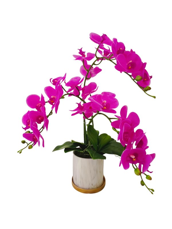 Orchid Plant (Purple) - Faux
