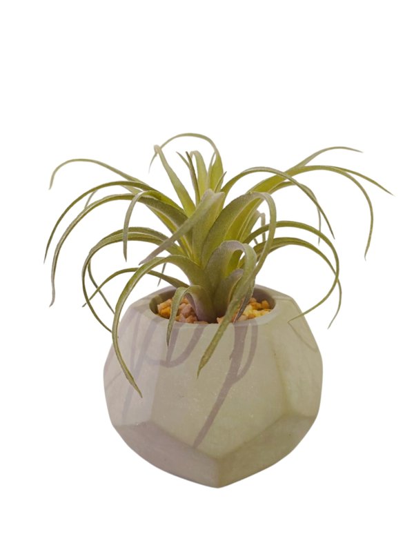 Sky Plant With Grey Pot - Table Size (Faux)