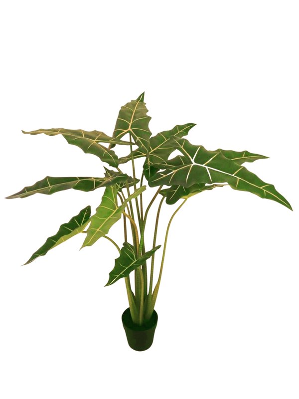 Alocasia Plant 1.3m - Faux