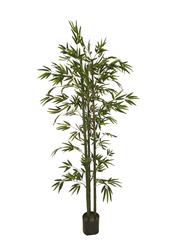 Bamboo Plant 1.8m - Faux