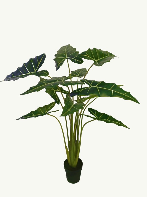 Alocasia Plant 1.6m - Faux