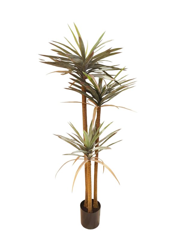 Yucca Tree 1.6m (Rustic Leaves) - Faux