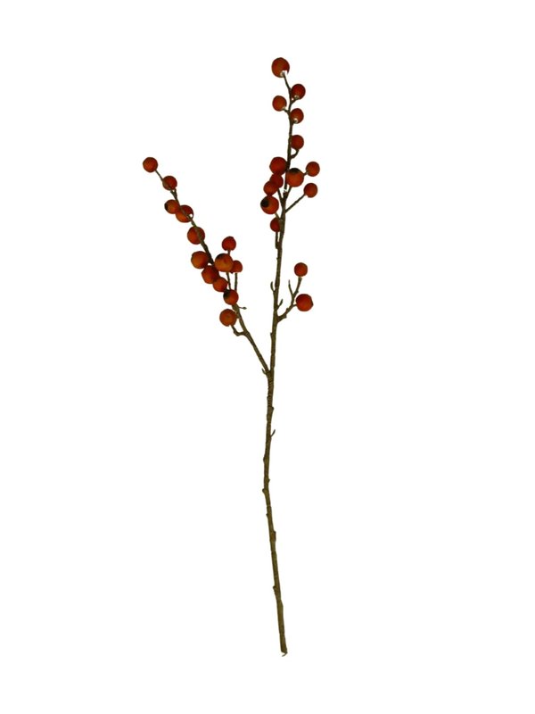 Decorative Flowers/ Fruit (Artistic Looking - Red)