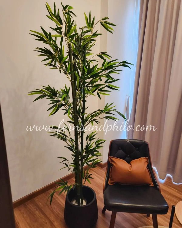 Bamboo Plant 1.8m - Faux