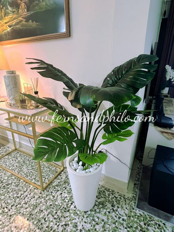 Monstera Plant 4ft - Faux