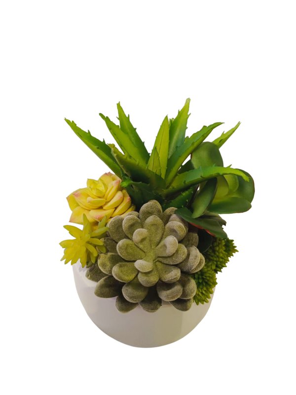 Multiple Agave Plants With White Round Pot - Table Size (Faux)